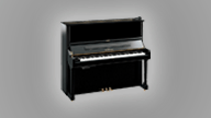 noleggio Yamaha U3S